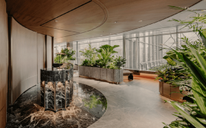 Văn phòng nhà kính 'phủ đầy cây xanh' của Citibank tại Singapore