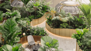 Văn phòng nhà kính 'phủ đầy cây xanh' của Citibank tại Singapore